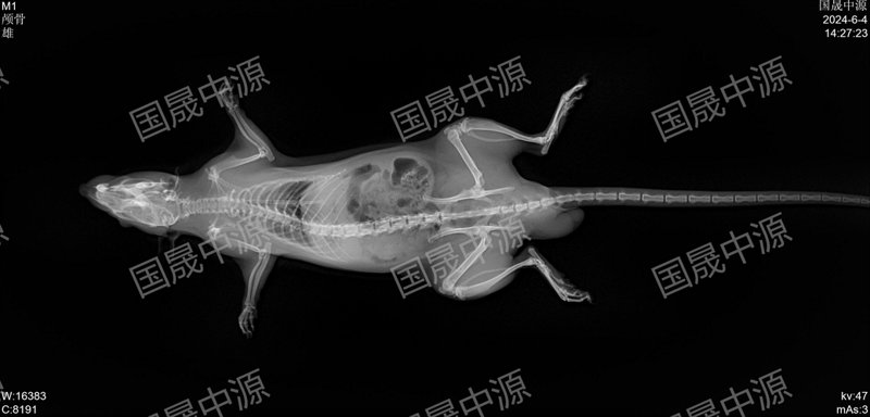 重庆人脸识别技术选购指南